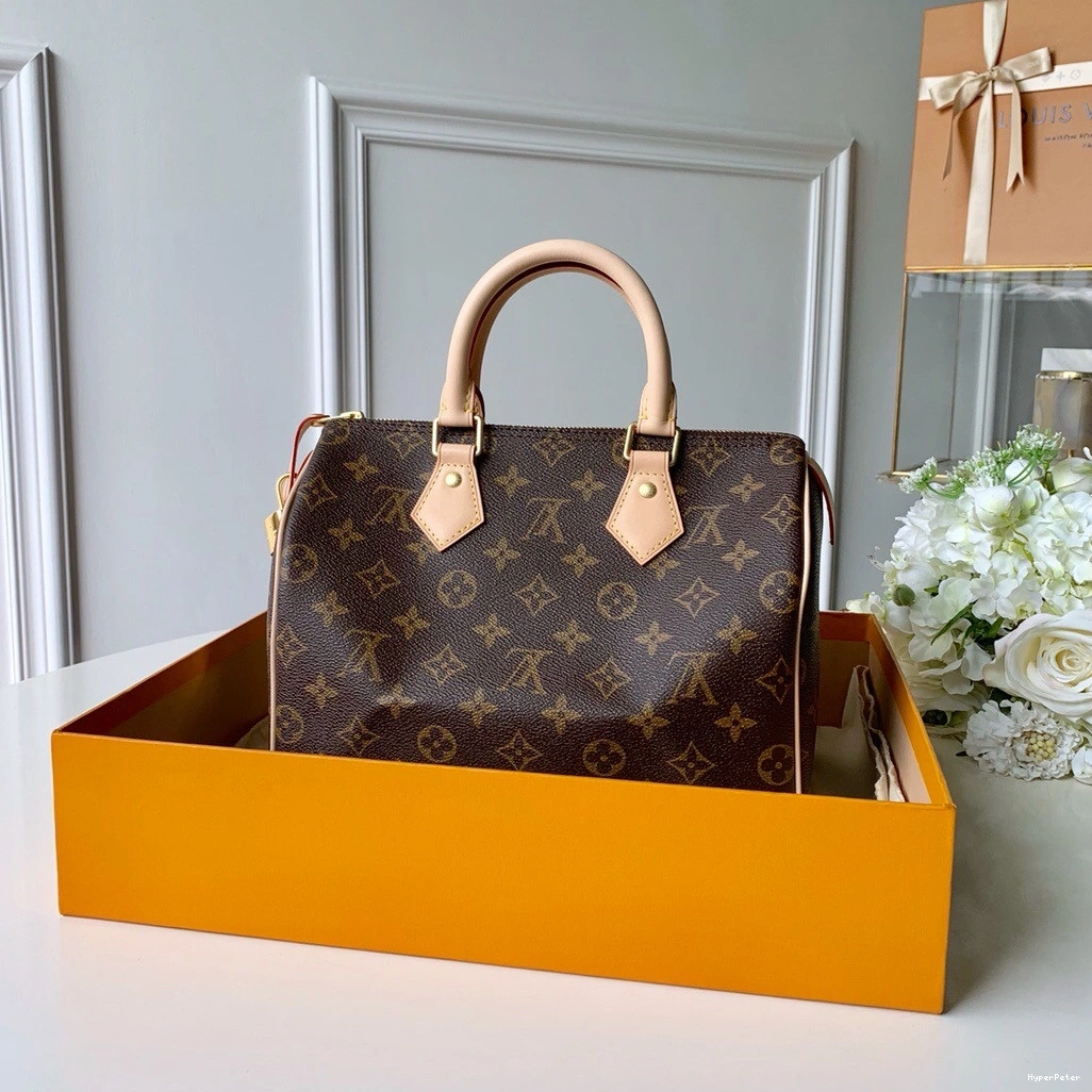 25 SPEEDY Vuitton Louis 0812